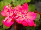 DSCN2895
