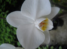 DSCN2898