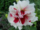 DSCN2901