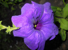 DSCN2907