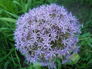 DSCN2915