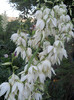 DSCN2932