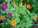 DSCN2943