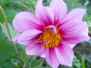 DSCN2950
