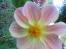 DSCN2951