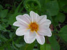DSCN2952