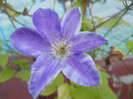 DSCN2958