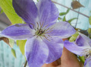 DSCN2959
