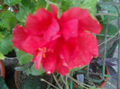 DSCN2965