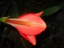 DSCN2967