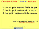 Adevarat