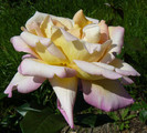 P1540708
