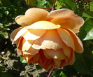 P1540717