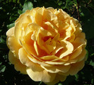 P1540737