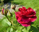 P1540738