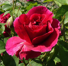 P1540740