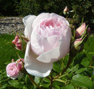 P1540742