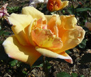 P1540746