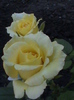 DSC01612