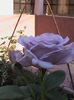 DSC01615