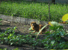 DSCN3477
