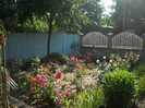 DSCN3463