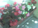 DSC00002