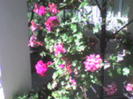 DSC00005
