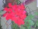 DSC00007