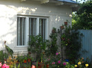DSCN3467
