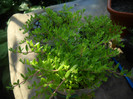 DSCN3476