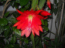DSCN3615
