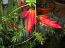 DSCN3616