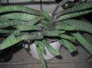DSCN3628