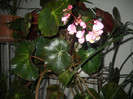 DSCN3634