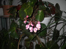 DSCN3636