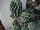 DSCN3640