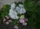 DSCN3649