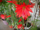 DSCN3669