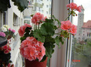 DSC03851