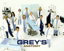 Greys anatomy