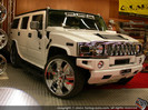 Hummer 3