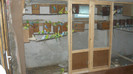 P1090858
