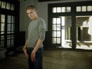 Michael Scofield (7)