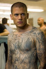 Michael Scofield (35)