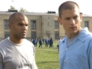 Michael Scofield (52)