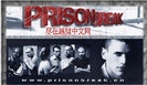 Prison Break (15)