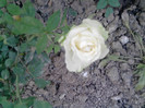 Picture 112