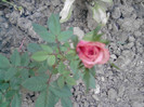 Picture 113