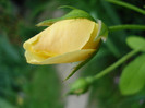 DSC05000